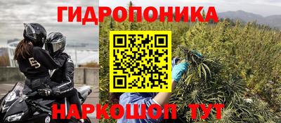 ПСИЛОЦИБИНОВЫЕ ГРИБЫ Тверь