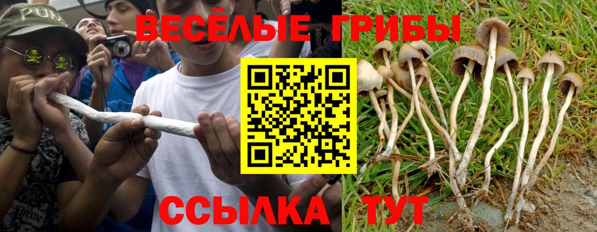 Тверь  Галлюциногенные грибы Psilocybine cubensis  Вход с VPN  Псилоцибиновые грибы Magic Shrooms 